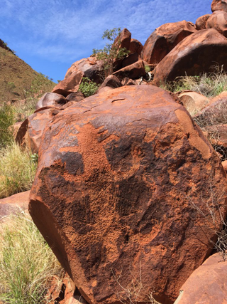 Illustration for article titled AWOL Around Australia... The Pilbara. Part 2